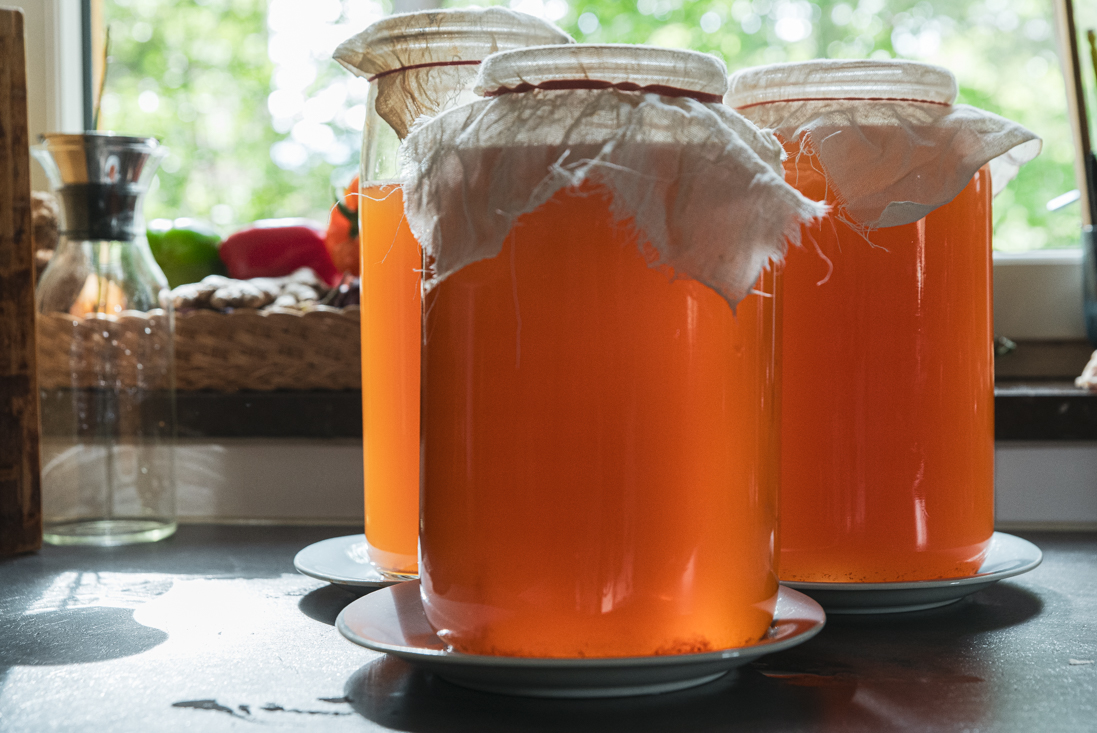 Egen äppelcidervinäger – grunden