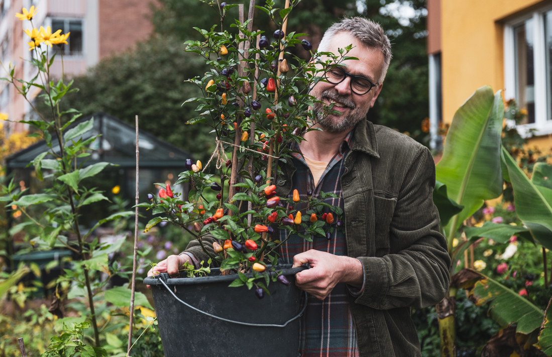 Vi gör egen jord – vi har slutat att köpa