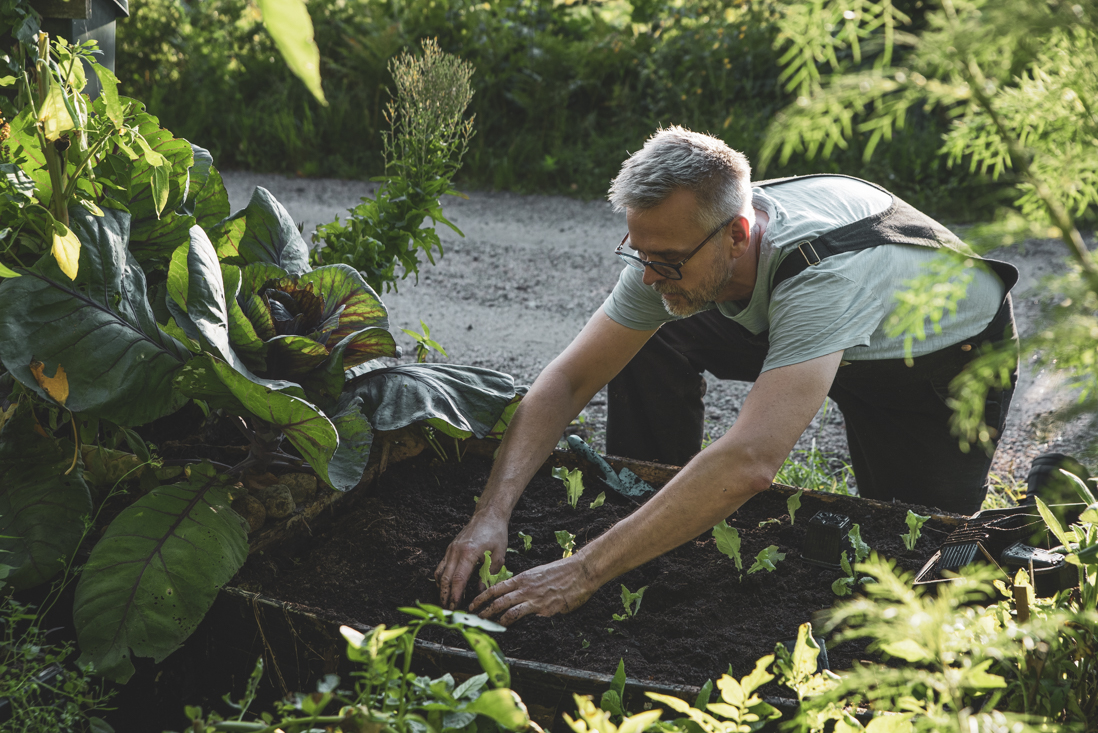 Vad kan man odla i pallkrage?