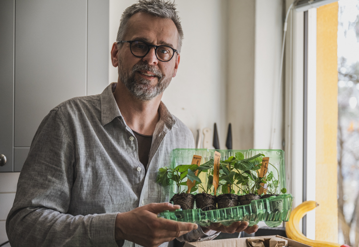 Köpa plantor på nätet