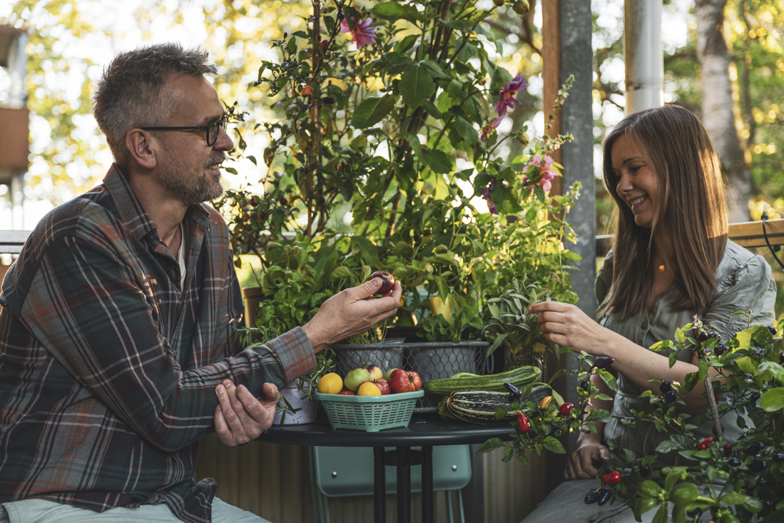 Fixa en grönsaksodling på din balkong