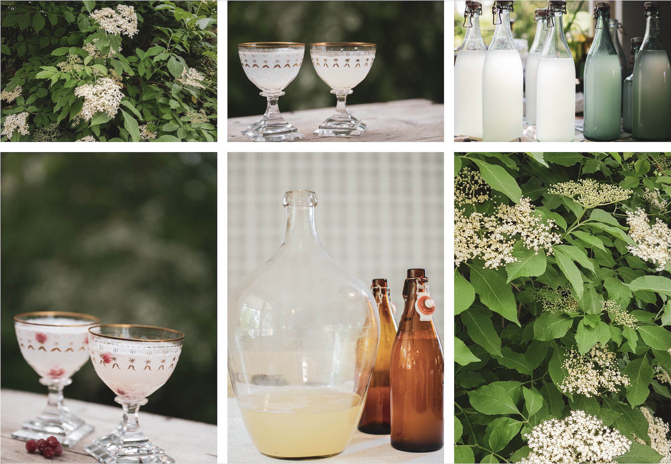 Gör din egen fläderchampagne