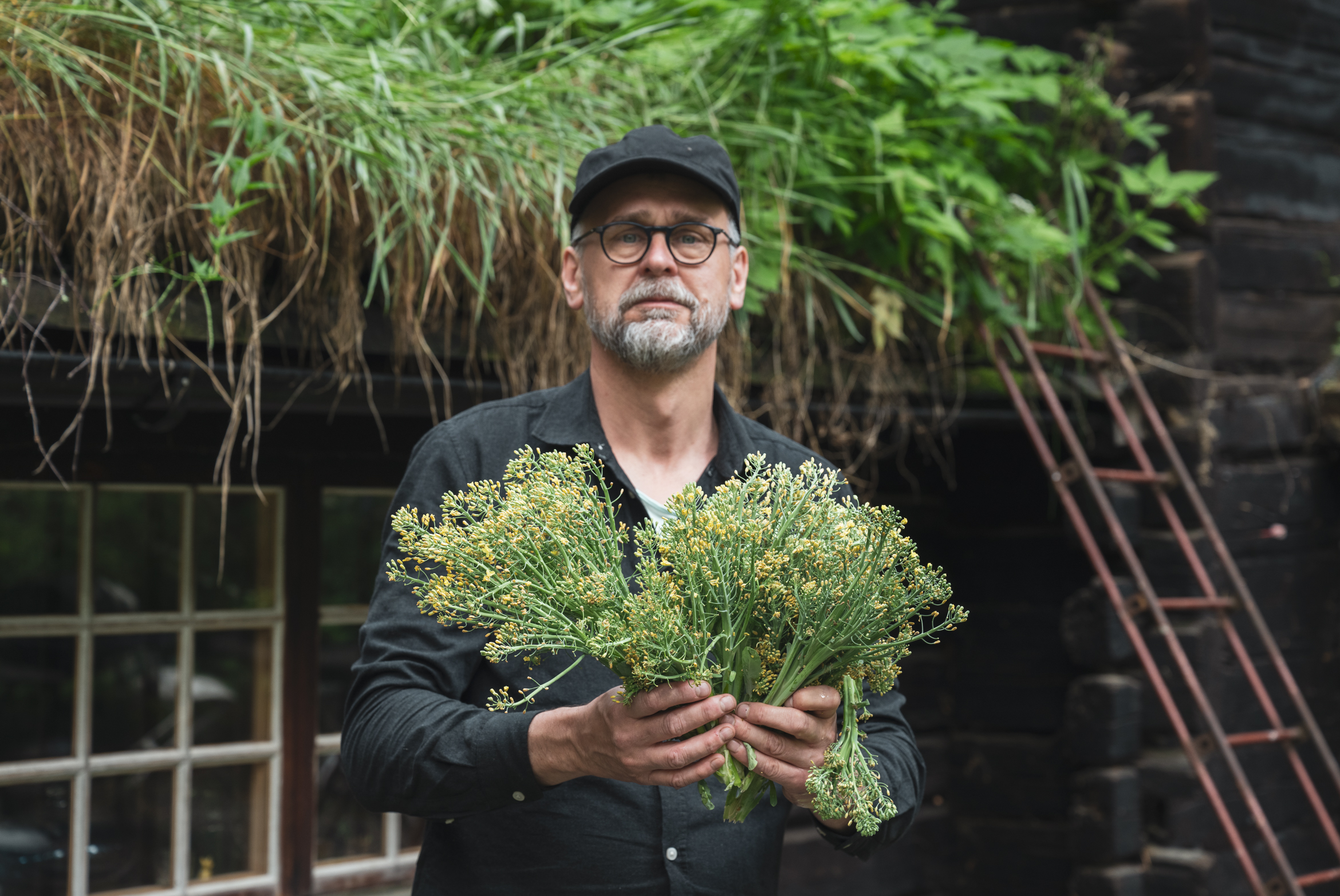 Hjälp – broccolin blommar!