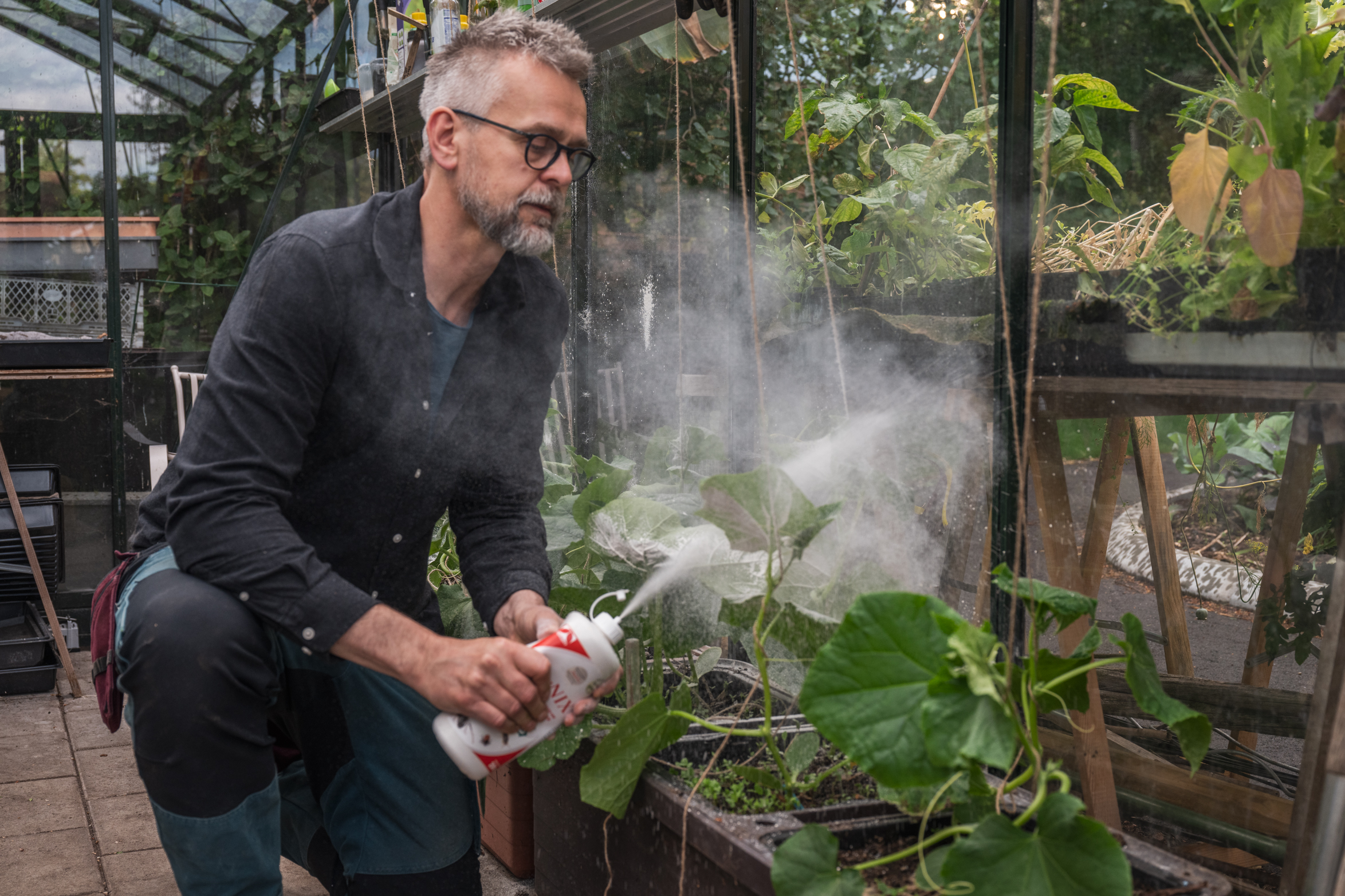 Bekämpa och förebygg skadedjur med MyrNix