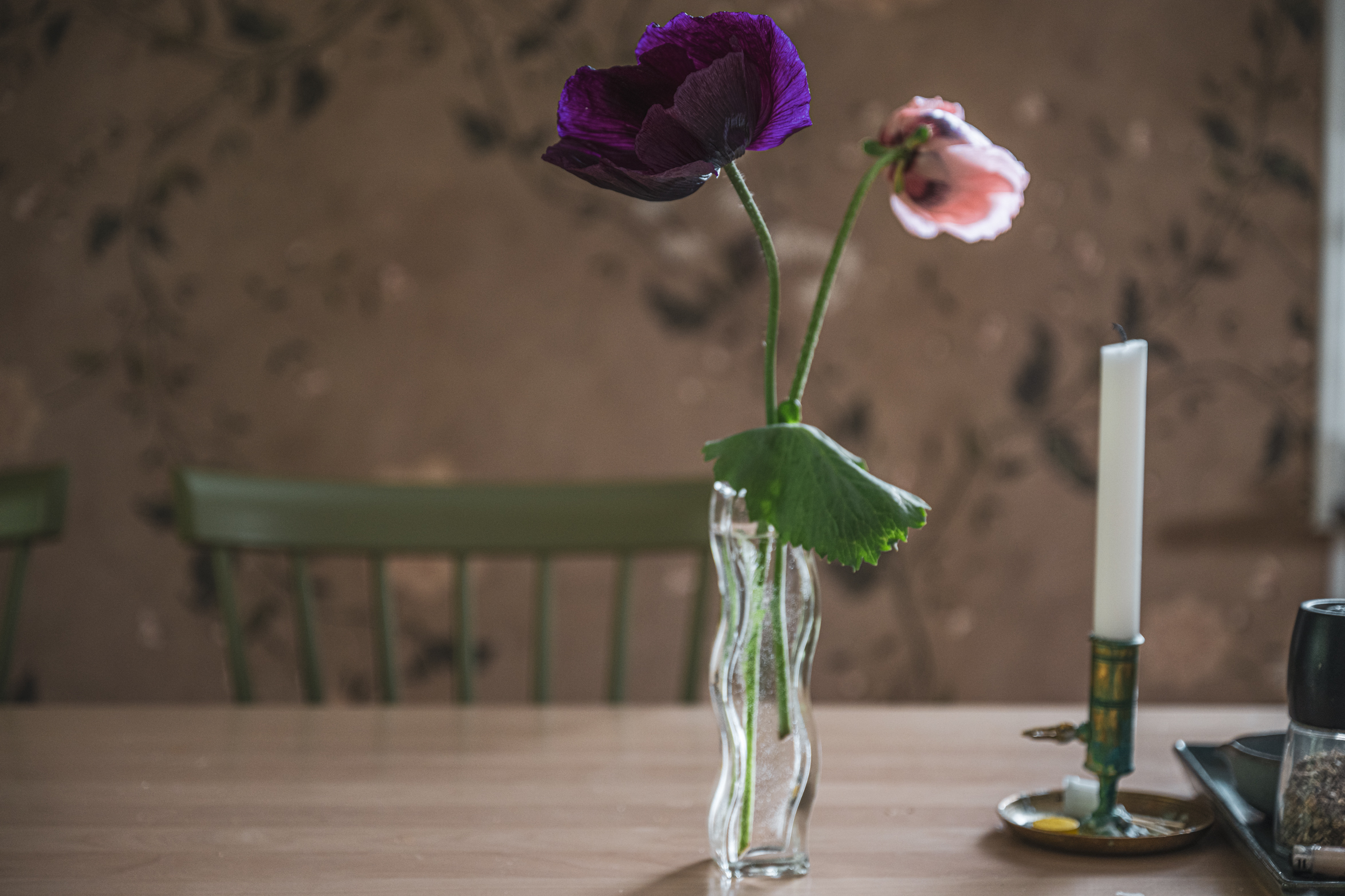 Nu blommar vallmon – och vallmoteatern är igång