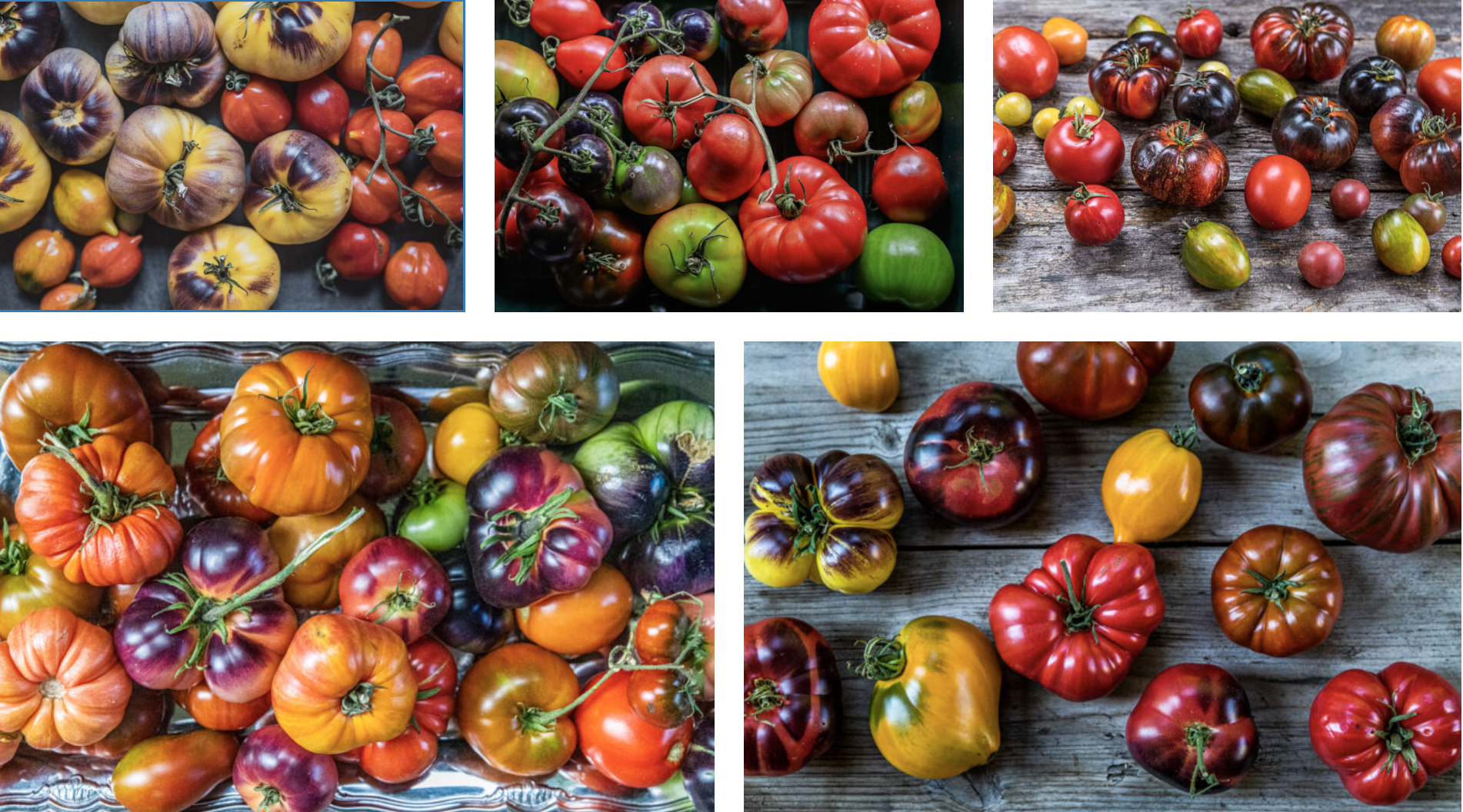 Vad gör du med dina tomater?