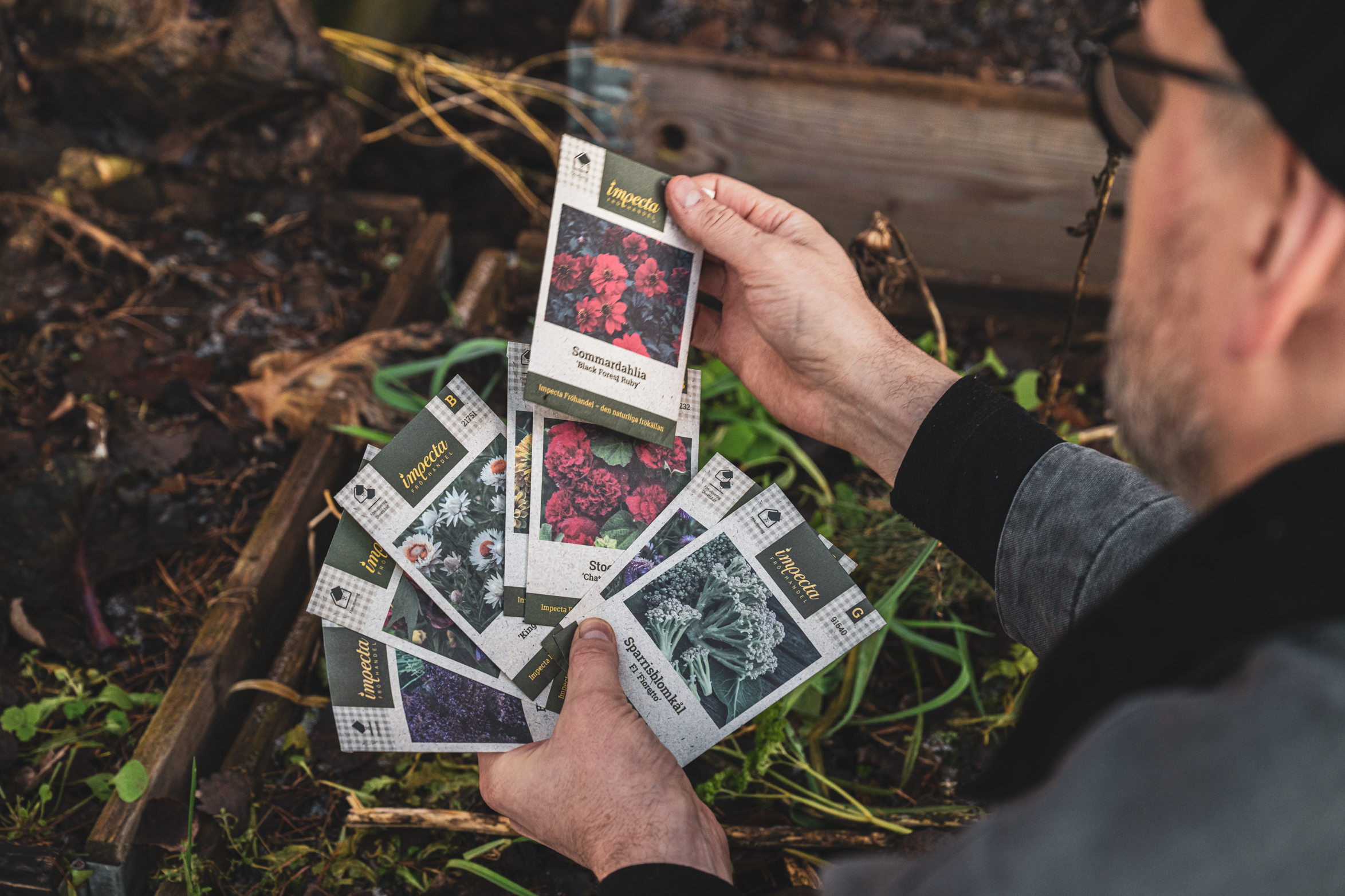 Vilka frönyheter odlar vi 2026?