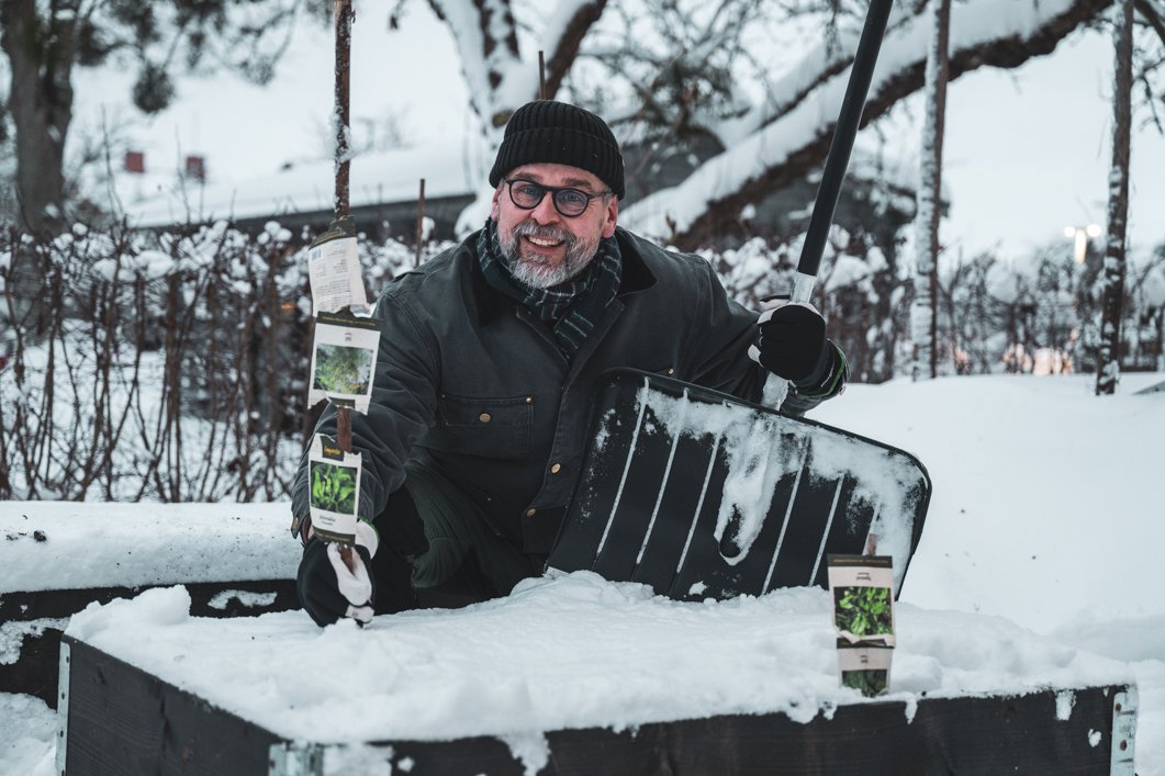 Vi sår spenaten – och sallaten – kallt i januari. Är du med?