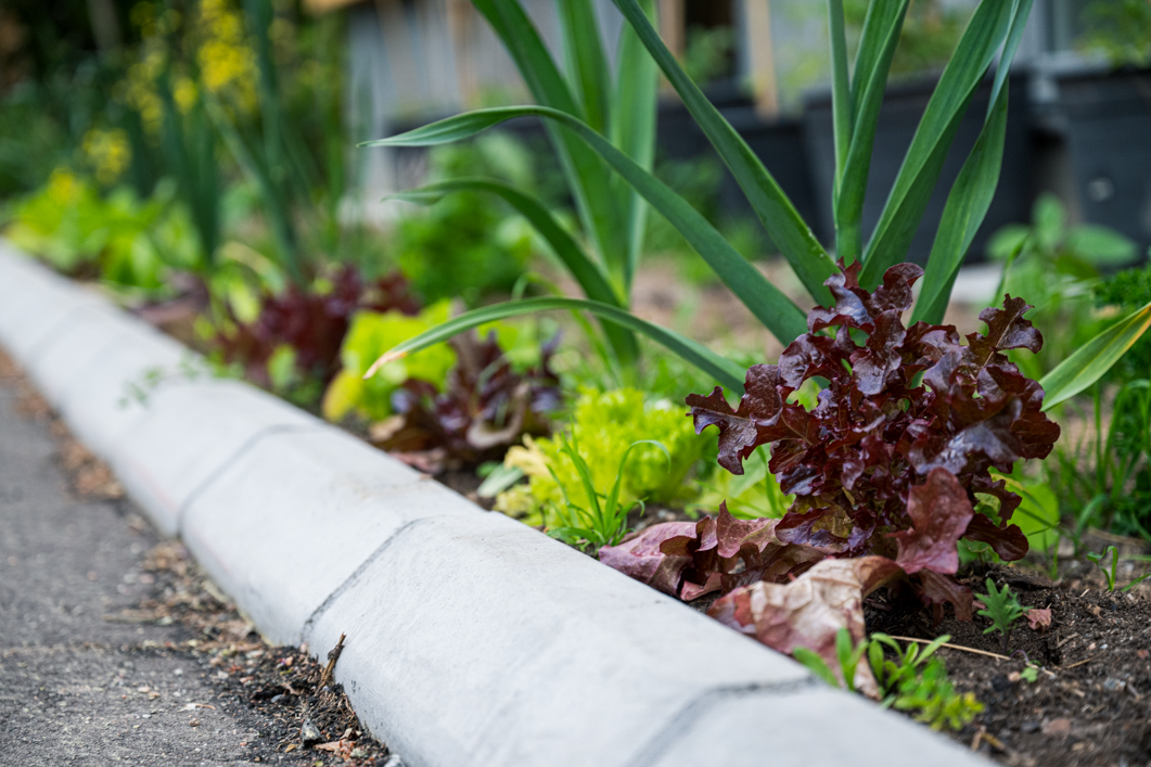 Vi struntar i växelbruket och det fungerar