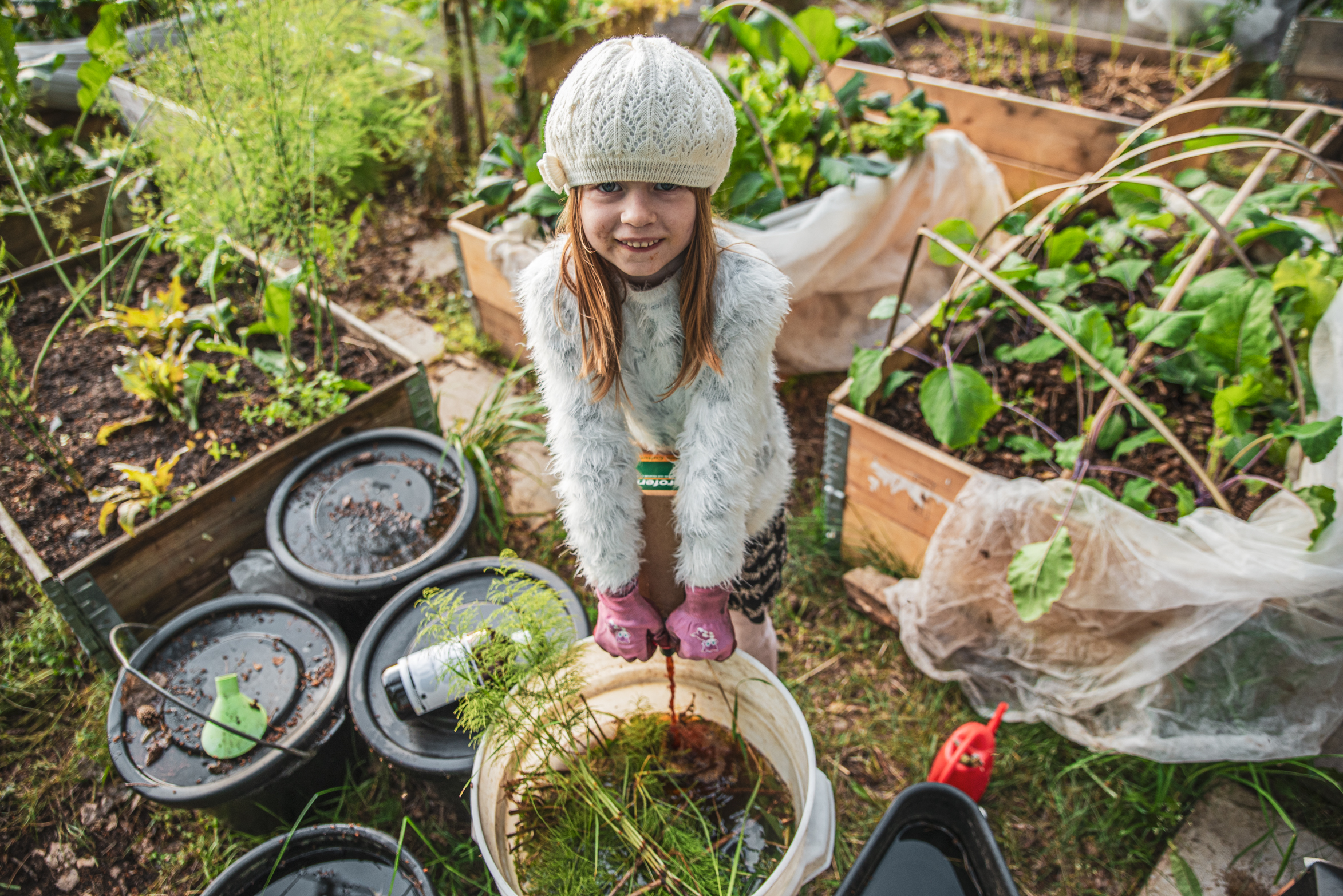 Gödsel och näring utan gifter – 7 sätt och hur det fungerar