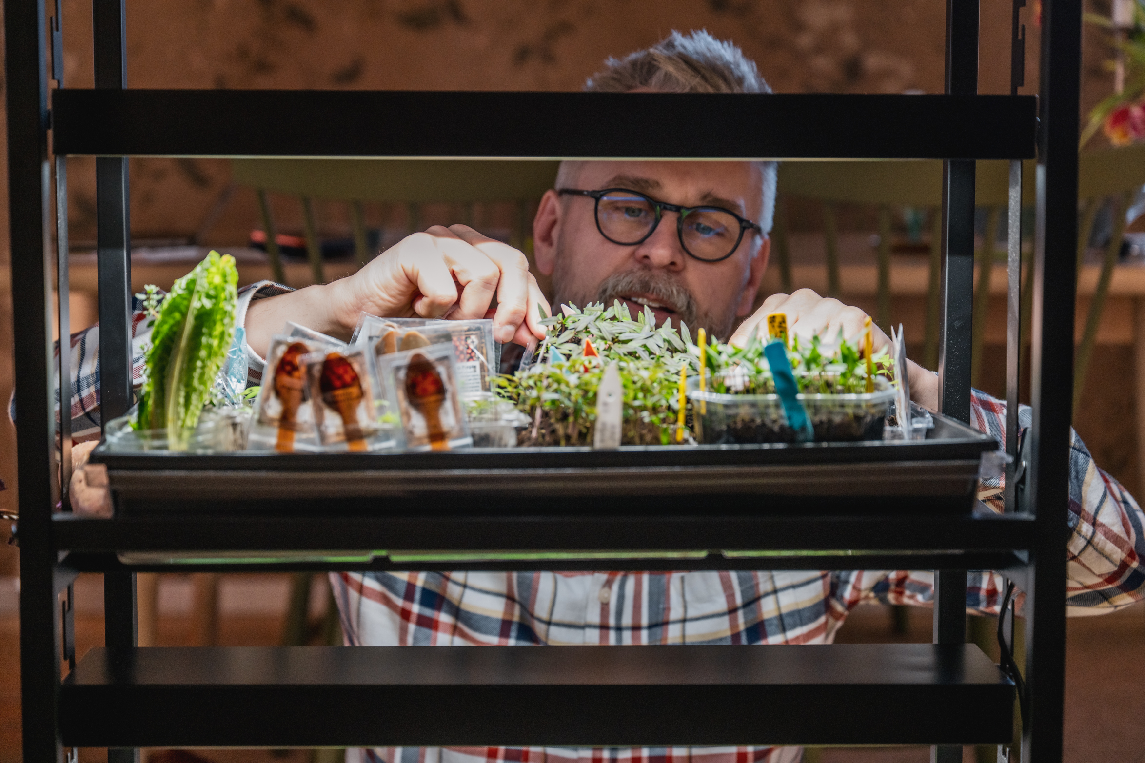 Så organiserar vi våra inomhussådder – med en belysningsvagn